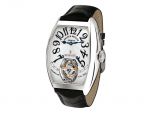 Franck Muller REVOLUTION 7850 T REV 2