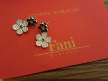 ������ Fani