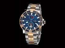Hammerhead Shark 265-91LE-8M