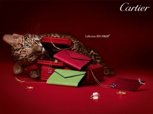 �������� ������������ ������� � �������� ��������� ������� Cartier � Rolex � �����!